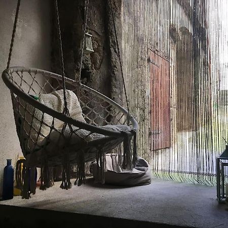 Petit Appartement Douillet Les Martres-de-Veyre Exteriör bild